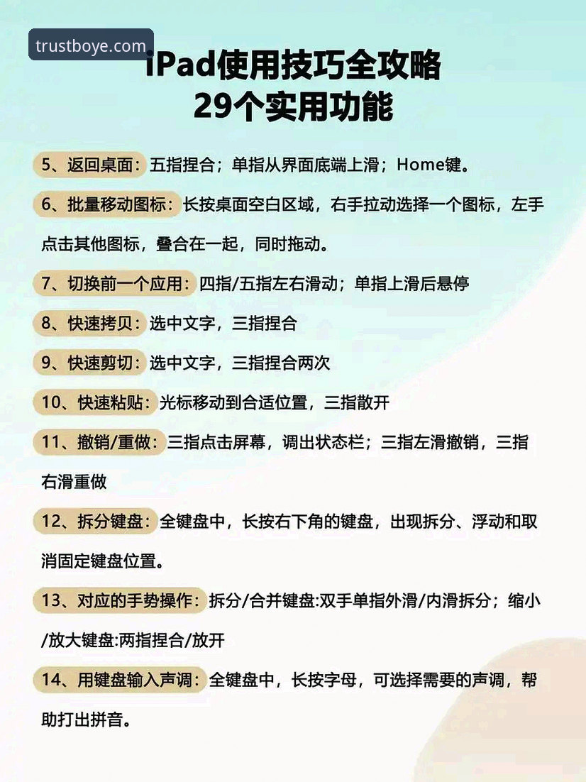 掌握博业娱乐使用教程的7个关键步骤——从入门到精通的完整指南